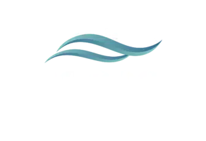 SeacoastChimney_Logo_Final-02-300x206.png
